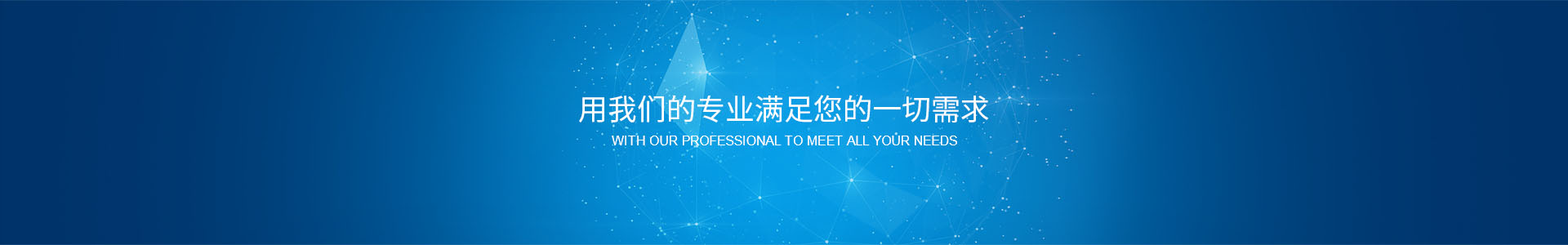 用我們的專(zhuān)業(yè)滿足您的一切需求
