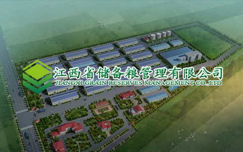 公司網站建設